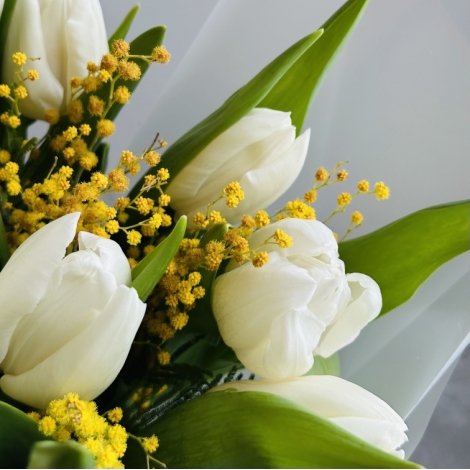 Букет из белых тюльпанов и мимозы
