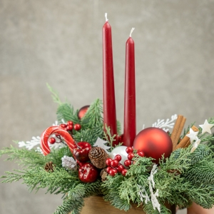 Новогодние композиции из нобелиса