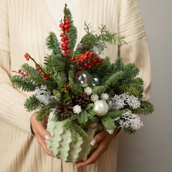 Композиция №14 в керамическом кашпо с нобилисом