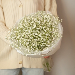 Букет из гипсофилы (Размеры S, M, L)