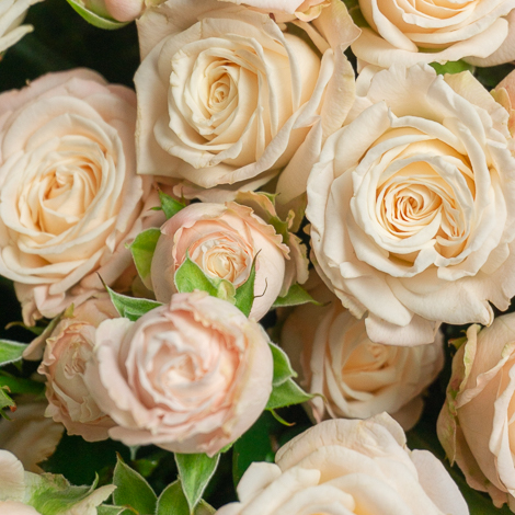 Монобукет из кустовых роз сорта Бомбастик