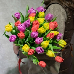 Букет из 35 пионовидных тюльпанов, микс 