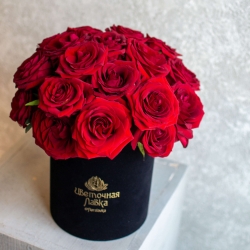 Коробка бархатная №19 из 25 красных роз, размер M