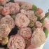 Монобукет из кустовых пионовидных роз Монобукет из кустовых пионовидных роз