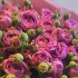 Монобукет из пионовидных кустовых роз Мисти баблз Монобукет из пионовидных кустовых роз Мисти баблз