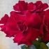Букет из красных французских роз Букет из красных французских роз