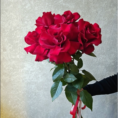 Букет из красных французских роз Букет из красных французских роз