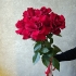 Букет из красных французских роз Букет из красных французских роз