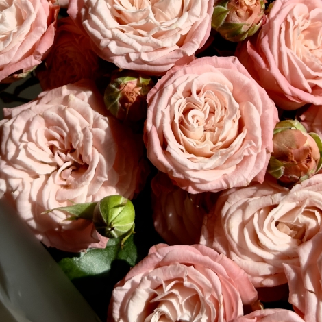 Букет из кустовых пионовидных роз Бомбастик