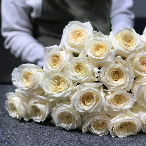 Розы Кендлайт 